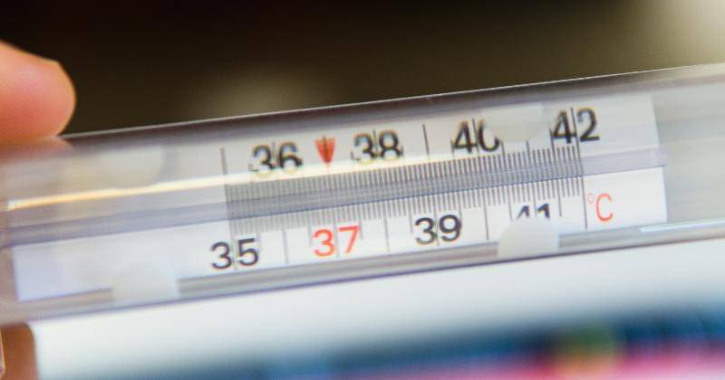 Unsplash/Matteo Fusco